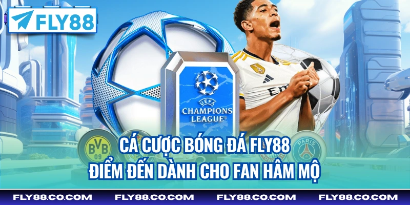 cá cược bóng đá fly88
