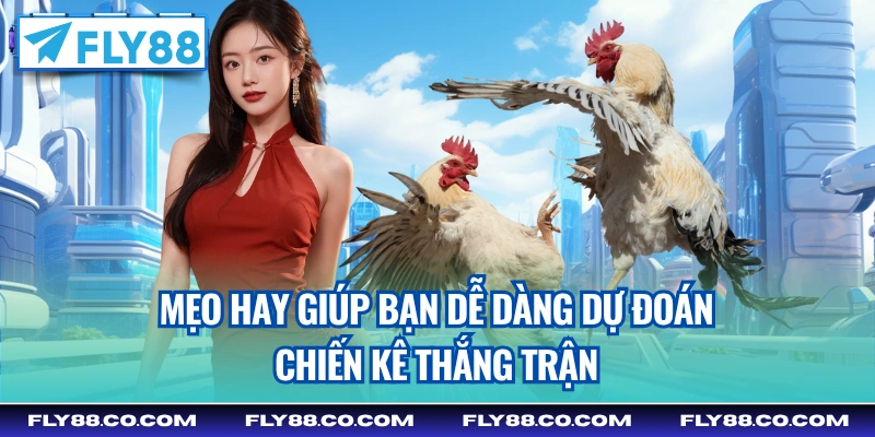 Mẹo hay giúp bạn dễ dàng dự đoán chiến kê thắng trận