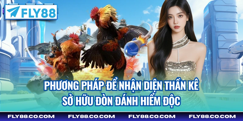 Phương pháp để nhận diện thần kê sở hữu đòn đánh hiểm độc
